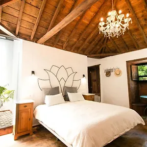 Casa 1820 Apartamento Santa Cruz de la Palma (Isla de la Palma)